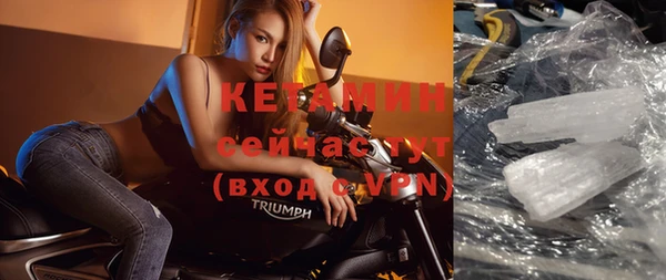 прущие грибы Верея