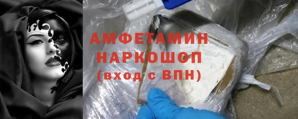 прущие грибы Верея
