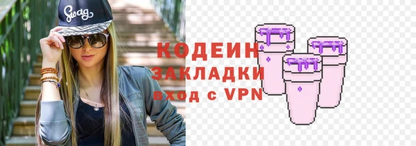 прущие грибы Верея