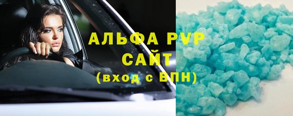прущие грибы Верея