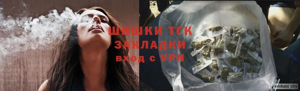 прущие грибы Верея