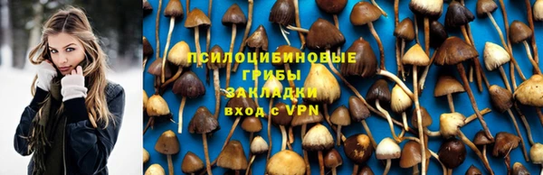 прущие грибы Верея
