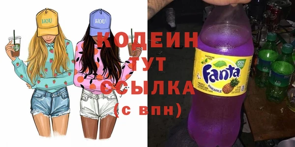 прущие грибы Верея