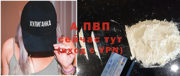 прущие грибы Верея