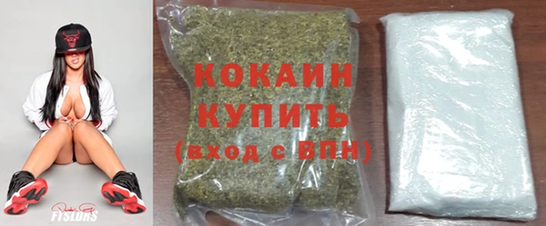 прущие грибы Верея